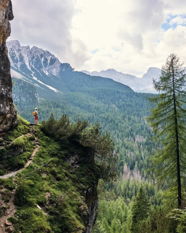 A hiker follows a narrow trail carved along a dramatic cliffside, overlooking a vast forested valley with mountain peaks in the distance
