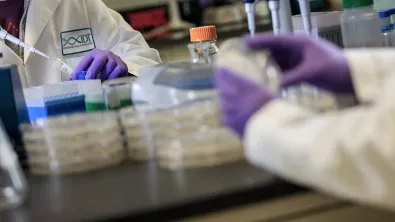 Pipetting at an IDT facility