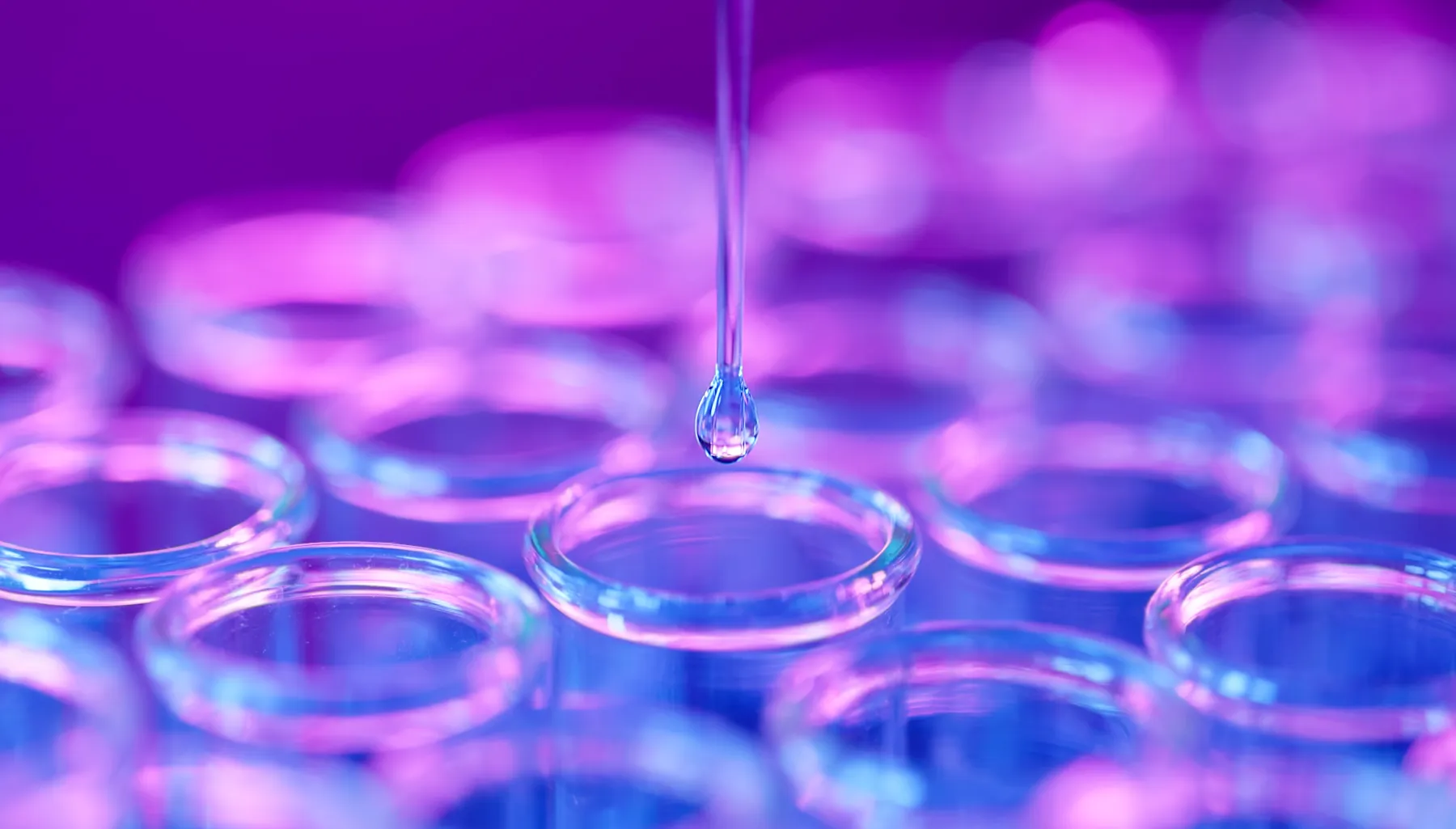 Close up of science lab research test tube