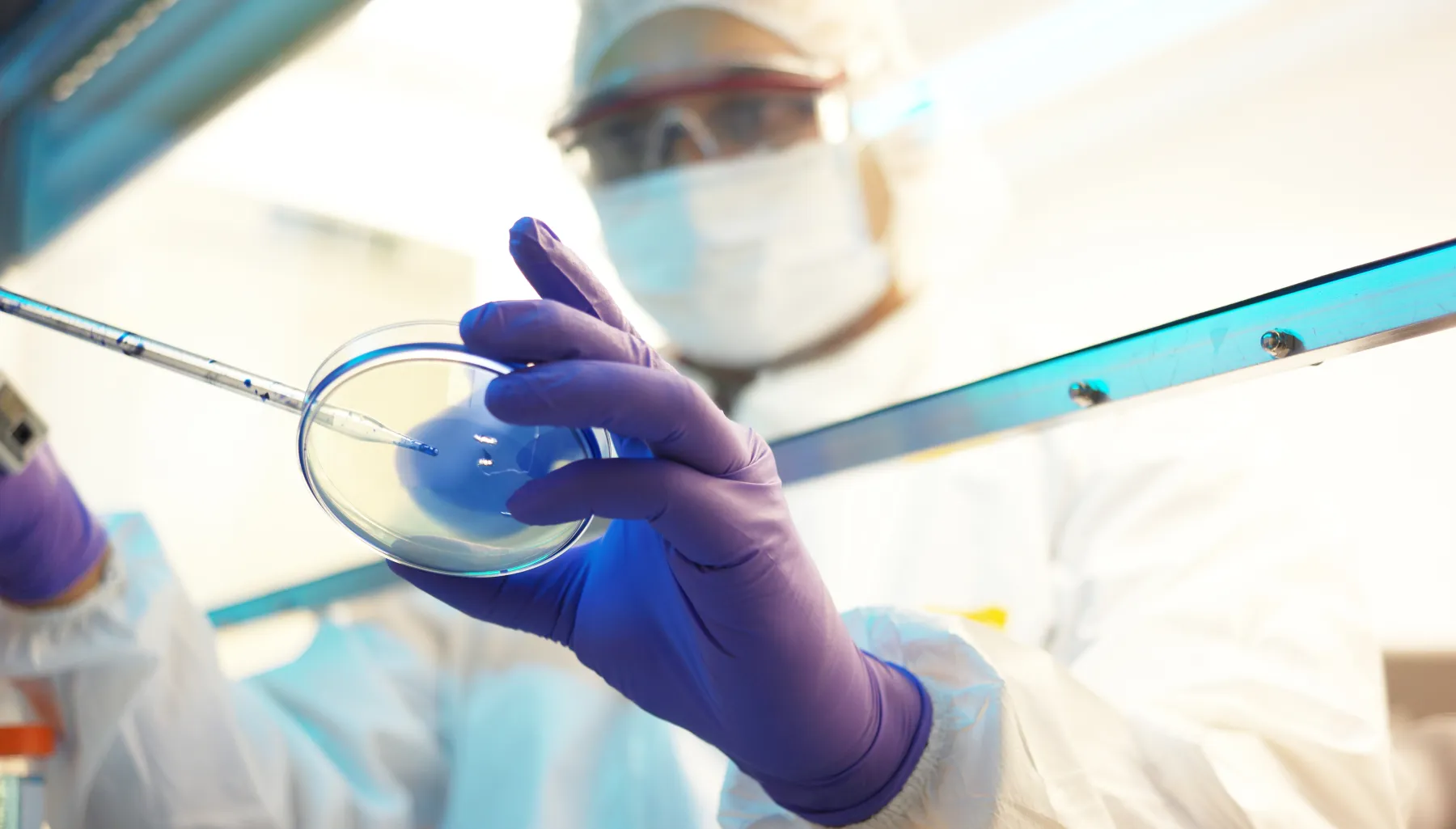 Scientist in a laboratory