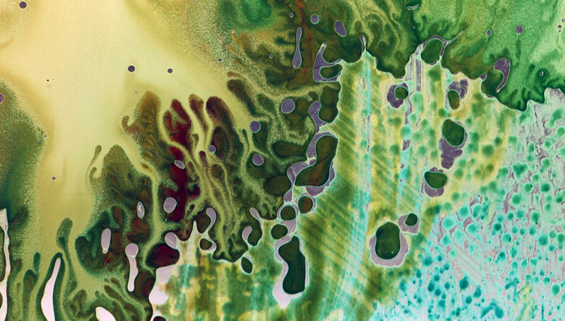 Conceptual artwork of diagnostic pathology