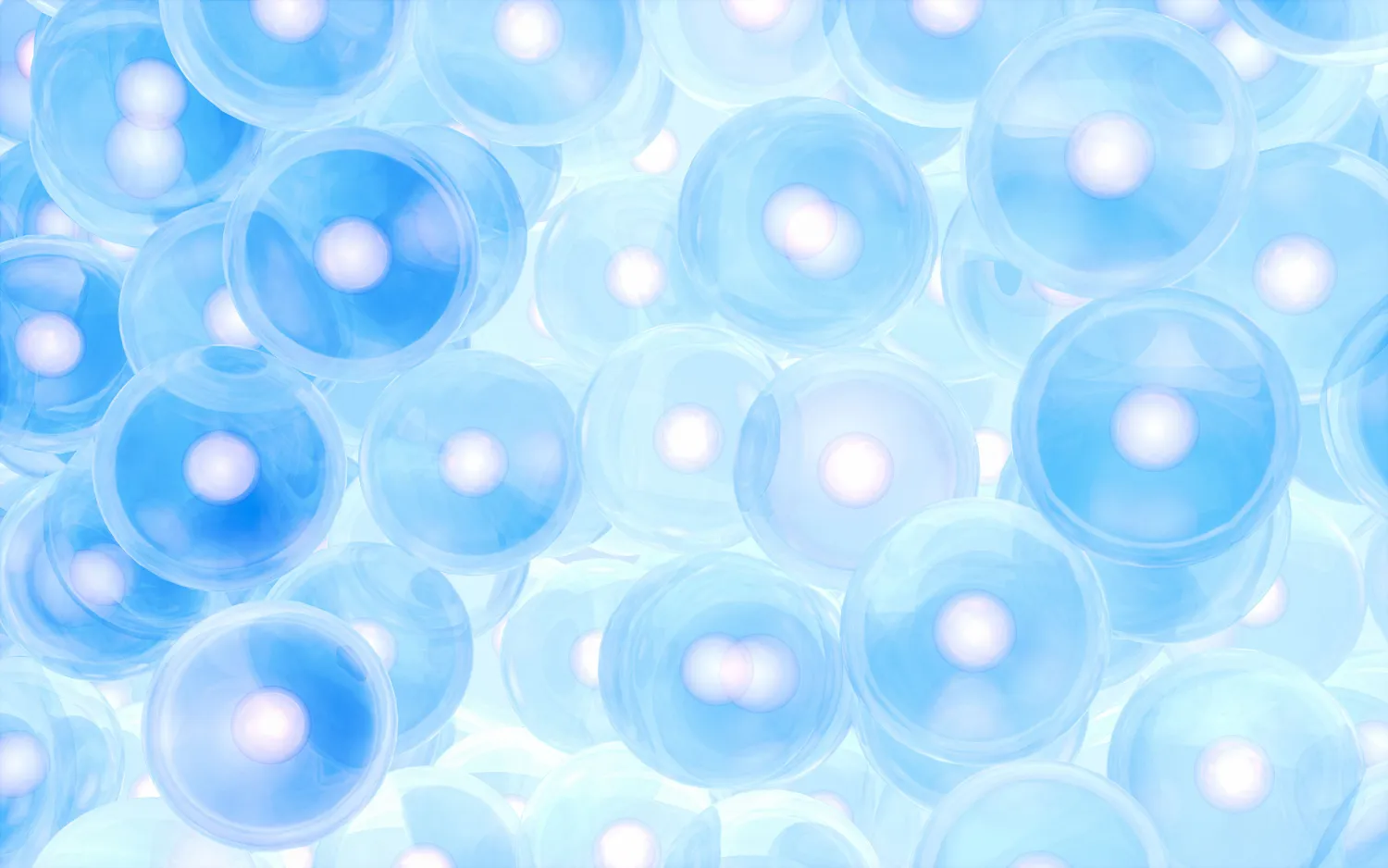 A photo of a collection of cells